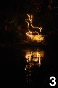 Red-Nosed Reindeer