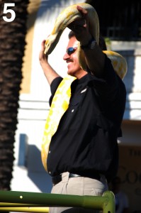 Ron Magill
