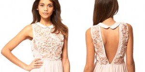 BlushDressLook