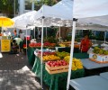 Food Day Takes Miami