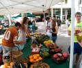 Food Day Takes Miami